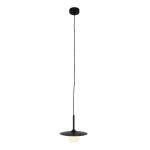 Подвесной светильник Zortes Lumi ZRS.2436.25