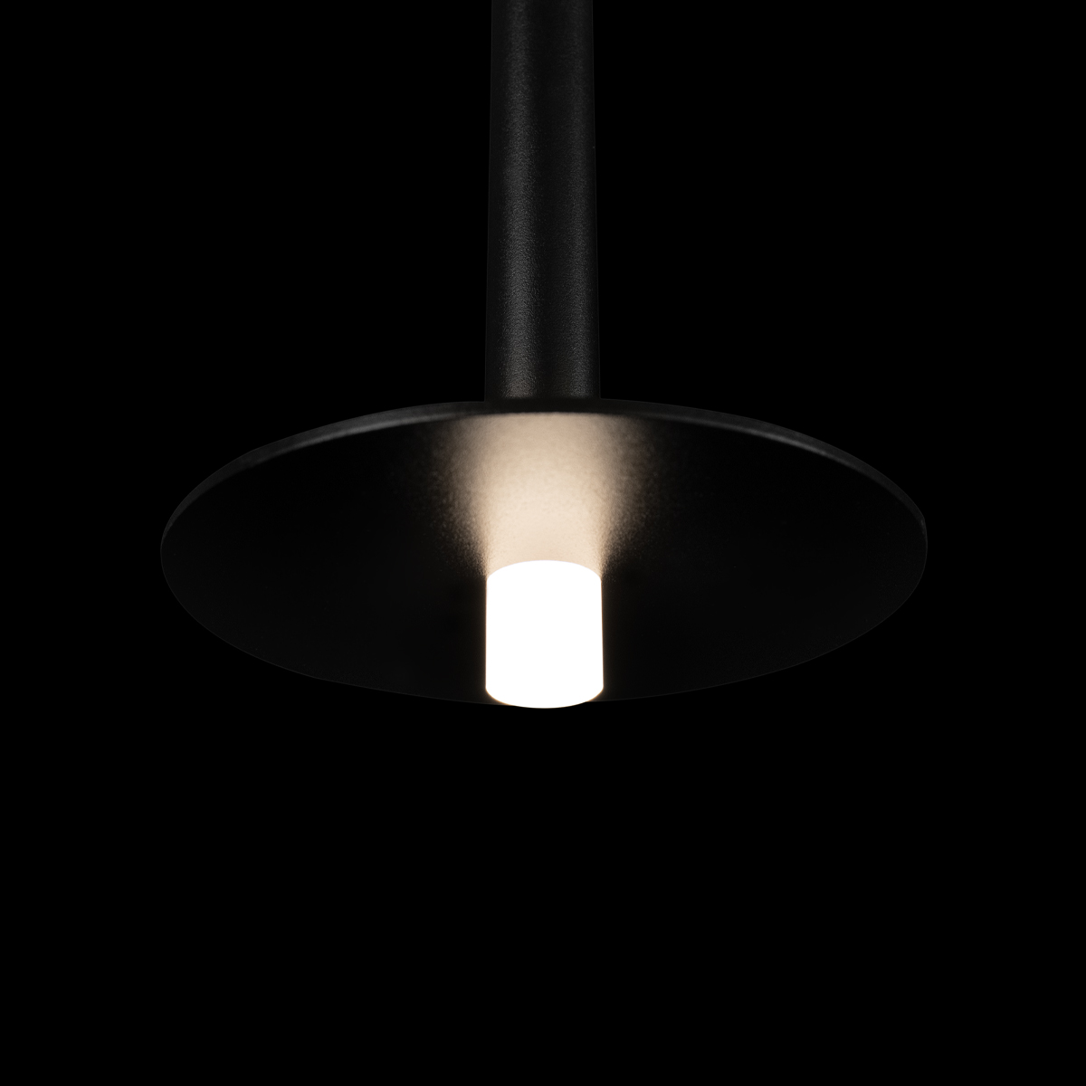 Подвесной светильник Loft IT Reed 10358/830 Disk Подвесной светильник Loft IT Reed 10358/830 Disk